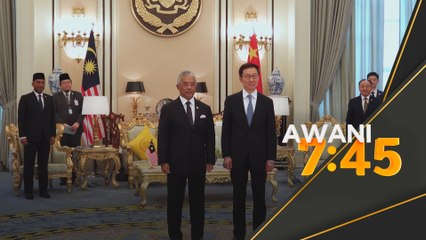 Agong terima menghadap Naib Presiden China