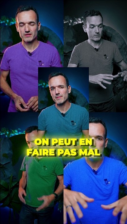 DES RATS ADDICTS À LA DROGUE 