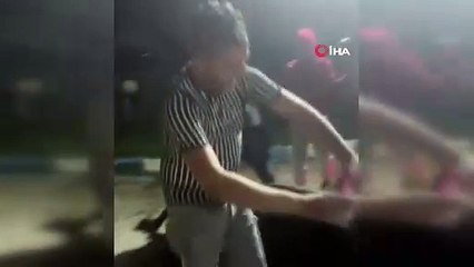 İneğe zorla alkol içirip eğlendiler!