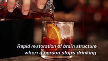 The Brain Bounces Back During Alcohol Use Disorder Recovery