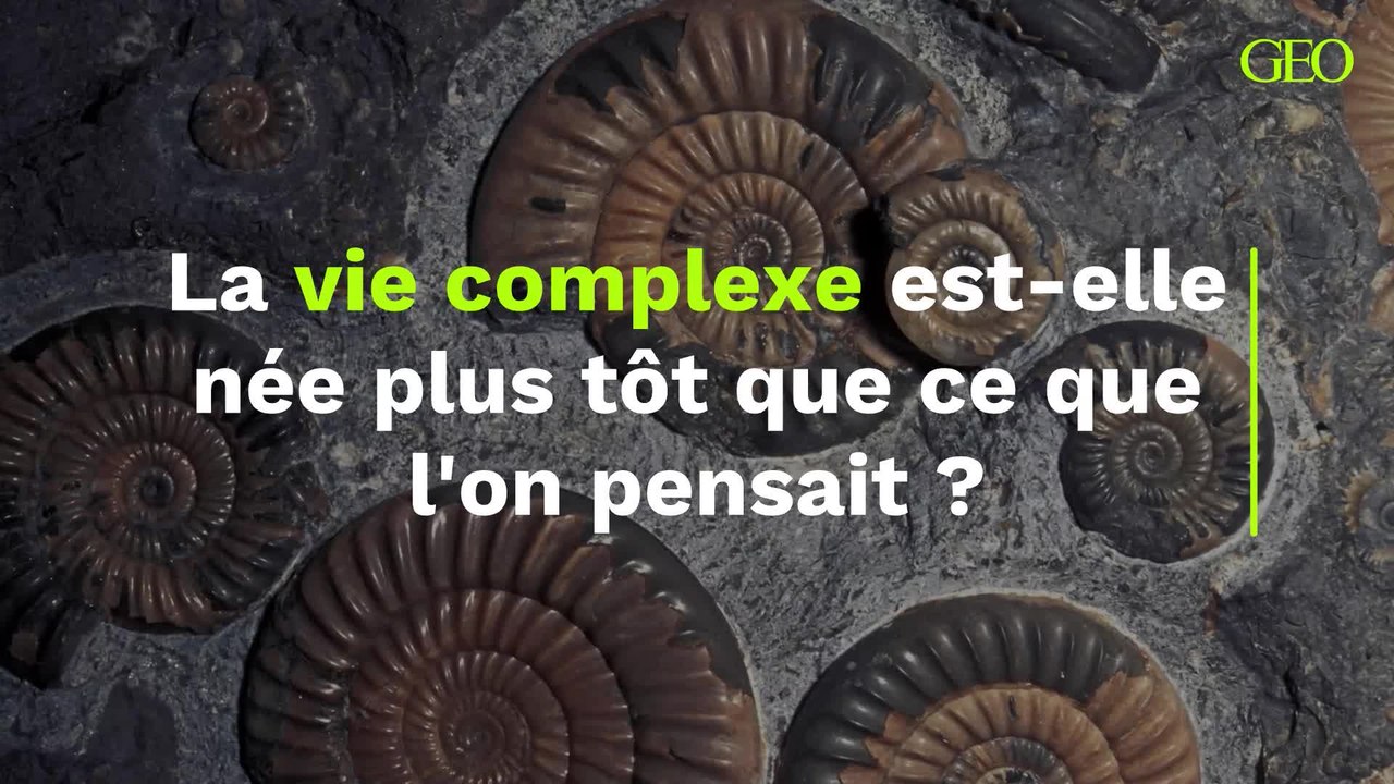 La vie complexe est-elle née plus tôt que ce que l'on pensait ?