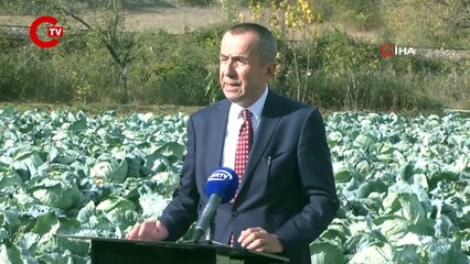 Eskişehir'de hasat başladı Vitamin deposu, magnezyum zengini...