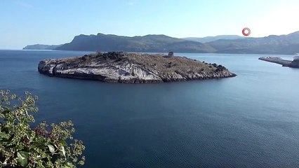 Türkiye-Rusya arasında yük taşımacılığı yapan gemi arıza yaptı