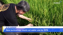 New AI-Powered Irrigation System in Taiwan Helps Farmers Save Water