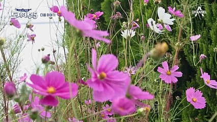 [다음이야기] 갑오징어 씨를 말려! 잘 잡는 수근, 못 잡는 덕화 그리고 이상한 어부들(?)이 떴다♨