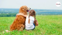 10 choses que personne ne vous dit lorsque vous adoptez un chien