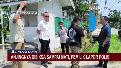 Terekam CCTV! Aksi Pria Curi dan Siksa Anjing Sampai Mati di Medan