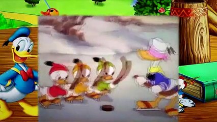 14  Donald Duck The Hockey Champ 1939