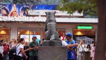 Tokyo fête les 100 ans de Hachiko, le chien symbole de loyauté