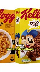 Quelles céréales consommer au petit-déjeuner ? Funky Veggie est une marque pas mal du tout !