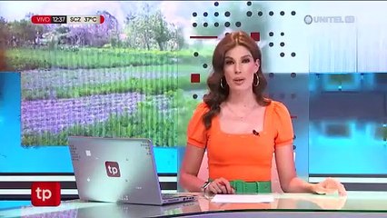 ​La Paz: Un hombre golpea y muerde el rostro de su esposa en Luribay