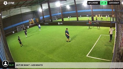 But de goat - les goats