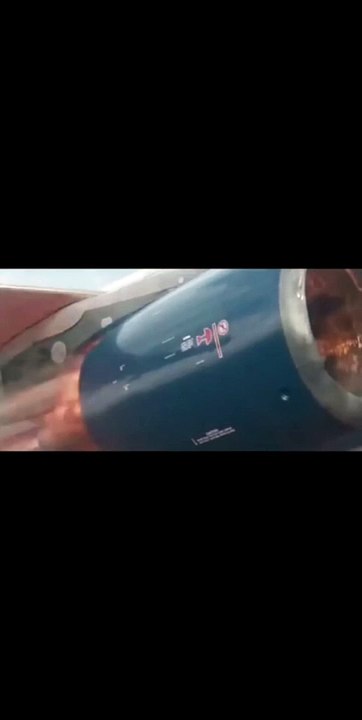 Experimenting with aircraft engines before installing them and the effect of birds on the engines