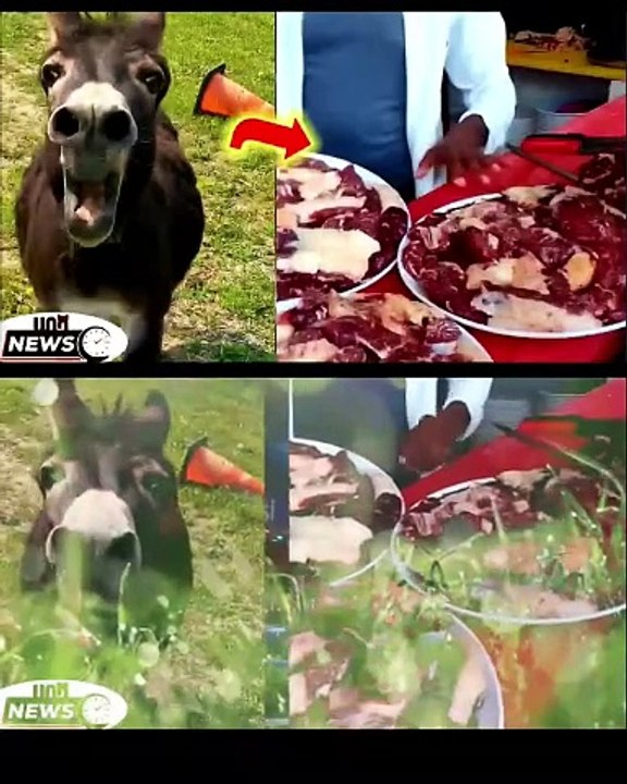 እረ ምን ጉድ ነው የምንሰማው ...ሀገራችን ያህያ ስጋ ለምግብነት?