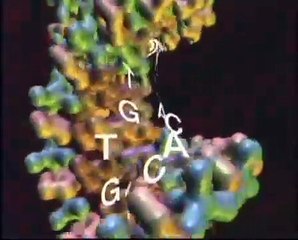 A própria Ciência cala a boca dos ateus