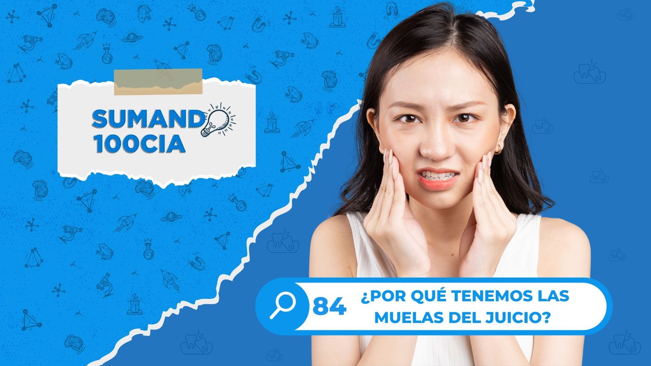 84 ¿POR QUÉ TENEMOS LAS MUELAS DEL JUICIO?