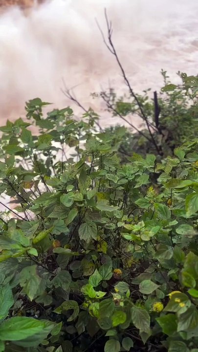 Cataratas do Iguaçu tem vazão histórica de 24 milhões de litros por segundo
