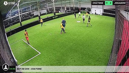 But de chx - chatons