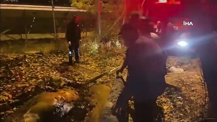 Erzincan'da mahsur kalan inek itfaiye ekipleri tarafından kurtarıldı