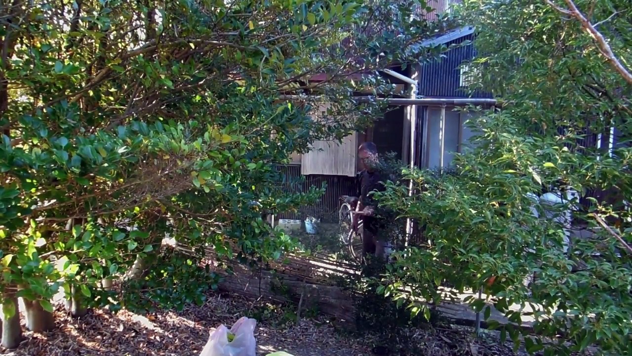 Garden Screen Project at the Old Japanese Farm House