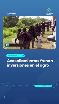 Avasallamientos frenan inversiones en el agro