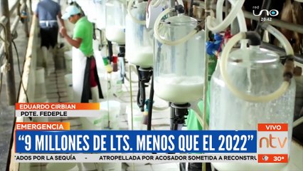 Productores de leche disminuyen su producción por sequía