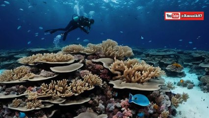 Eksplorasi Indahnya Pulau Palawan: Permata Asia