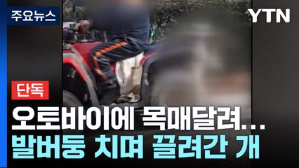 [단독] 오토바이에 목매달려 끌려간 개...시민들이 구했다 / YTN