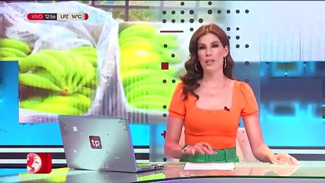 Volumen de las exportaciones bolivianas cayó un 19% al mes de agosto, según el IBCE