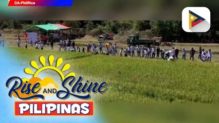 P7M halaga ng kanin, nasasayang kada taon ayon sa pag-aaral