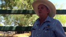 Low-risk prisoners fill labour shortages and up skill in outback QLD’s agricultural sector