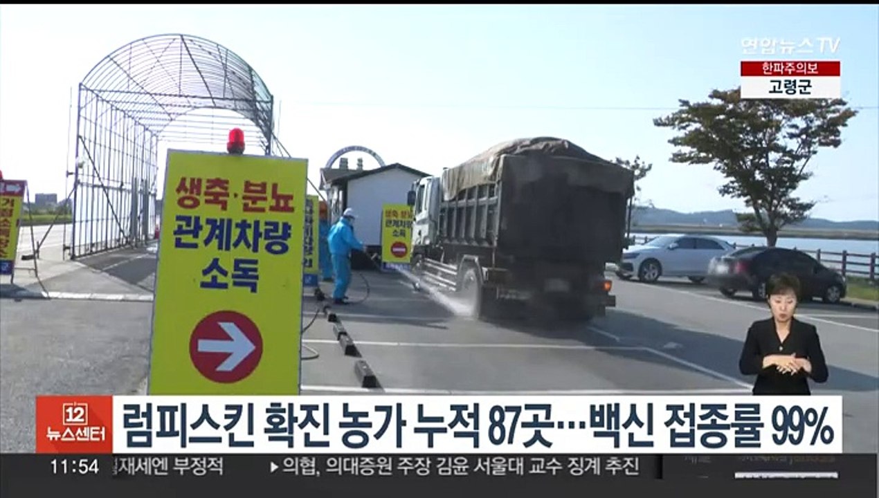 럼피스킨 확진 농가 누적 87곳…백신 접종률 99%