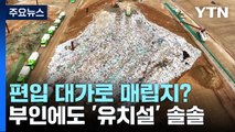 편입 대가로 매립지?...김포시 부인에도 '유치설' 솔솔 / YTN