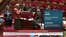 100% Sénat - Spécial projet de Loi immigration 09/11