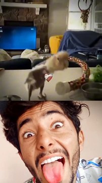 Bombastic Dancer #romansahil