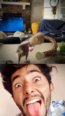 Bombastic Dancer #romansahil