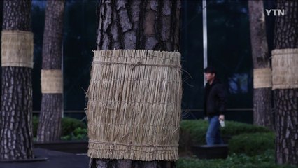 [영상] 입동 지나자 매서운 추위...주말에 더 춥다 / YTN