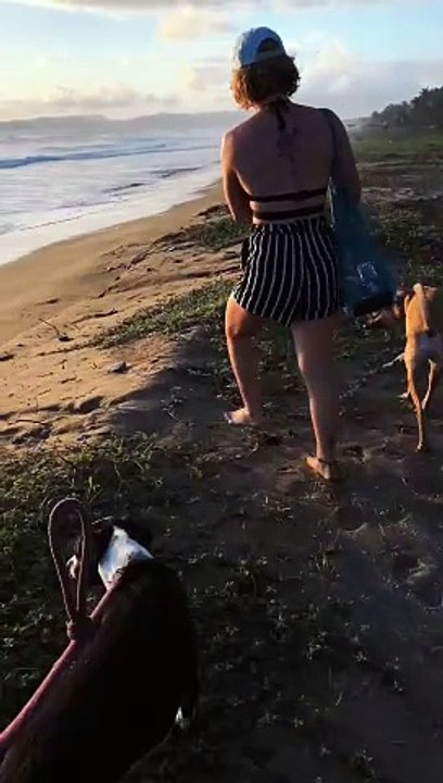 Helping a Turtle Stuck on the Beach