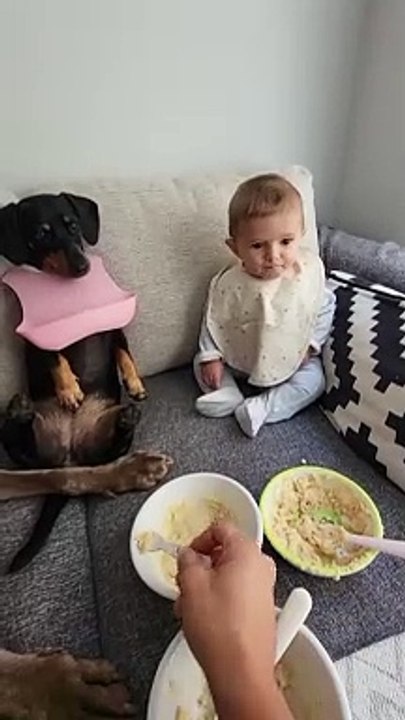 Family Lunch