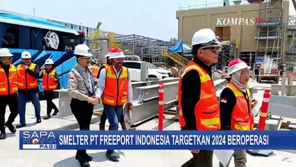 Kementerian BUMN Optimistis, Smelter Freeport di Gresik Beroperasi Tahun 2024