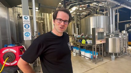 How craft beer is made as Newcastle brewer Modus creates DoughHeads jam donut sour | Newcastle Herald | November 10, 2023