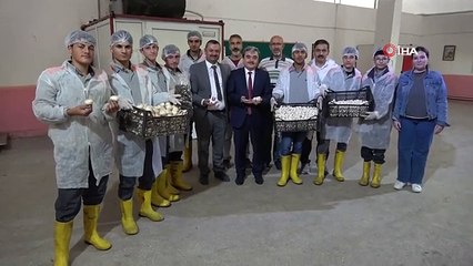 Lise öğrencilerinin yetiştirdiği mantarlar yok satıyor