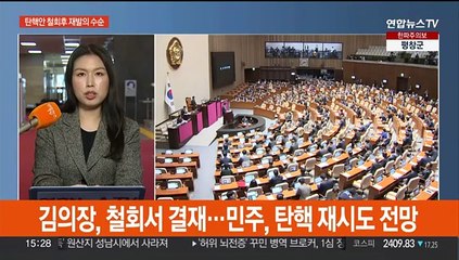 탄핵안 재발의 수순 '충돌'…쟁점법안 거부권 향배에 관심