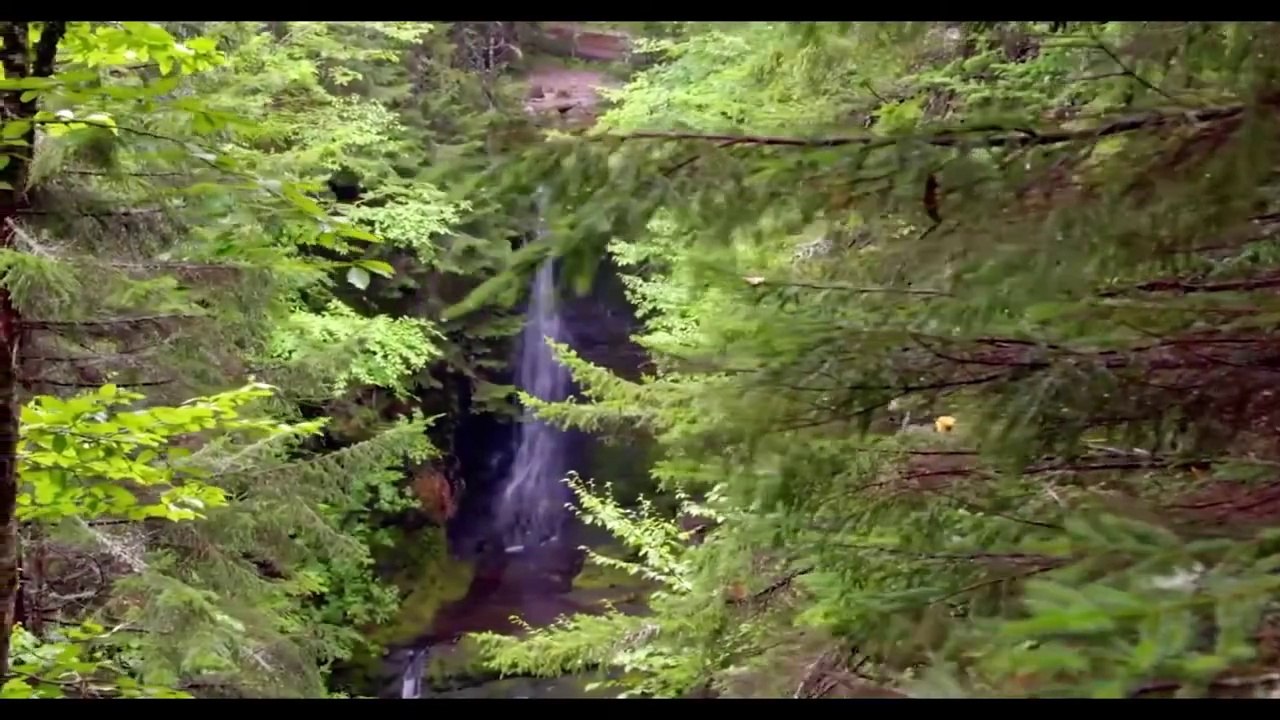 UD - JFK Fashion Ltd Documentary HD