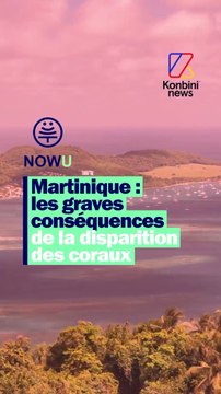 Avec le changement climatique, les pics de chaleur en Martinique seront de plus en plus fréquents. On t’explique.