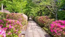 Kyoto, Japan 4K Walking Tour - Captions & Immersive Sound [4K Ultra HD_60fps]
