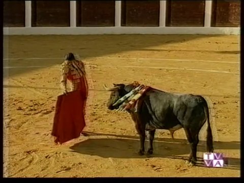TARDE DE TOROS-JORGE MANRIQUE-PACO DELGADO-PEPE LUIS GALLEGO TUDELA DE DUERO 17 05 1998