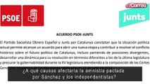 ¿A qué causas afectaría la amnistía pactada por Sánchez y los independentistas?