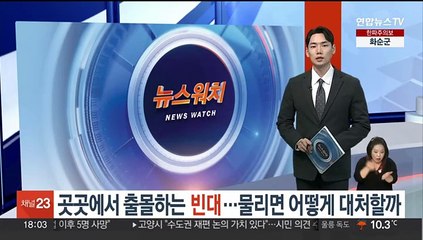 곳곳에서 출몰하는 빈대…물리면 어떻게 대처할까
