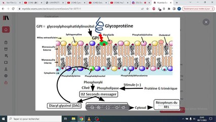 Tout ce que vous devez savoir sur la membrane plastique : Quiz QCM pour maîtriser le sujet